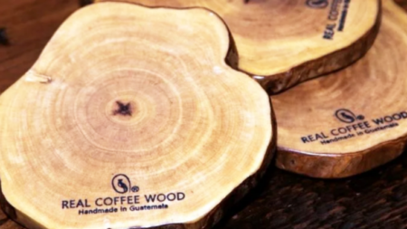 コーヒーの木コースター