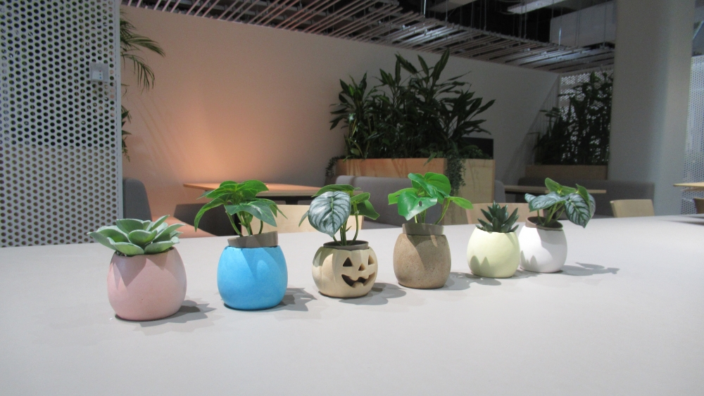 azbil社内食堂の卵殻をアップサイクルした卵型ミニプランター